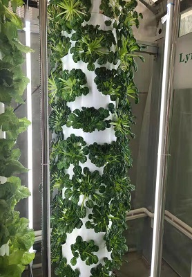 Aeroponic Tower with LED lights