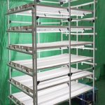 Australian Microgreen rack system