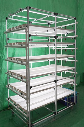 Australian Microgreen rack hydroponic system