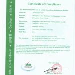 CE international certification