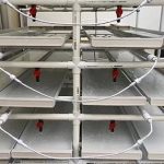 Hydroponic Seedling Rack System