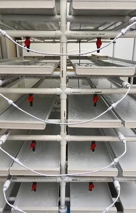 American Hydroponic Seedling Rack System