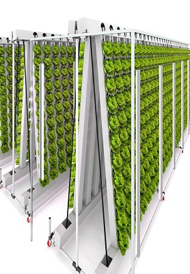 The Zipper Hydroponic System