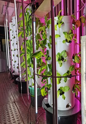 American Hydroponic Tower System