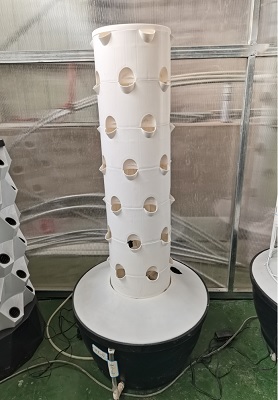 Polish Hydroponic Tower And Microgreen System