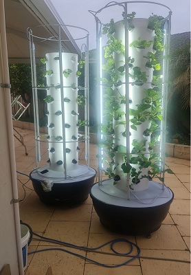 Australia hydroponic tower system