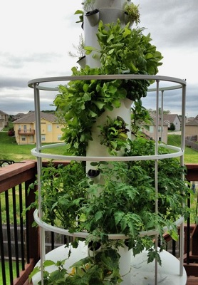 Chile Aeroponic Tower System