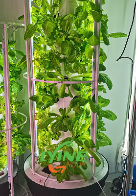 Colombian Aeroponic Tower System