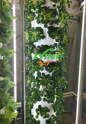 Romanian Hydroponic Tower System