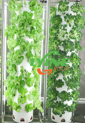 Mauritius Agent Sells Our Aeroponic Tower System