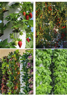 Israeli Home Hydroponic Tower System