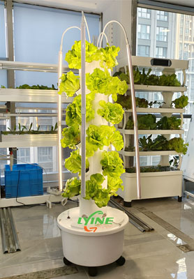 Mexico 4P6 Hydroponic Tower System