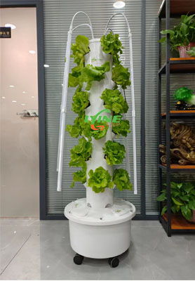 American Hydroponic Beginner Buys 4p6 Tower System to Grow Fresh Vegetables