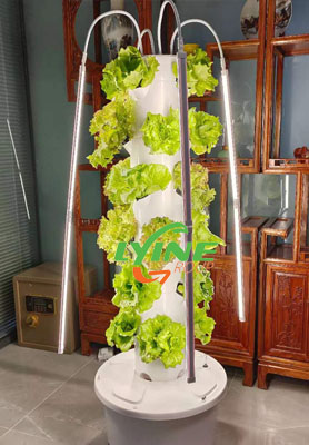 Canadian Customers Distribute the New 4p6 Mini Hydroponics Tower System
