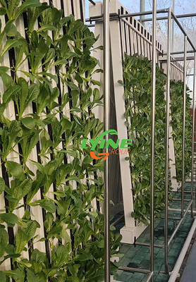 6 Sets of Hydroponic Zip Systems in France