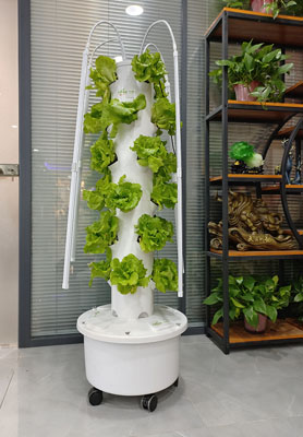 Two 4P6 Aeroponic Tower Systems in the United States