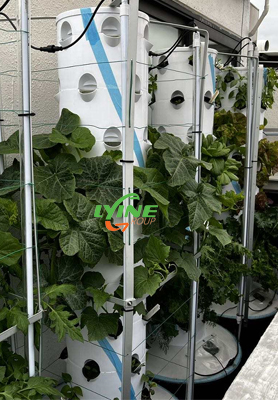 Hong Kong Customer Builds Hydroponic Garden With Aeroponic Tower System
