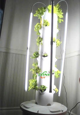 Canadian Customers Use 4P6 Hydroponic Tower System For Home Planting Experiments