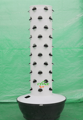 Jamaica Customer Purchased Two Sets of 6P10 Hydroponic Tower System To Grow Vegetables