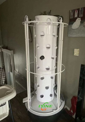 Canadian Customers Purchase 5 Sets of Household Hydroponic Tower Systems