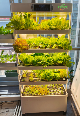 Home Indoor Hydroponic Grow Cabinet: Meet the Needs of Family Vegetable Consumption