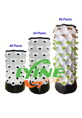 Canadian customers purchase hydroponic pineapple tower system to develop hydroponic industry