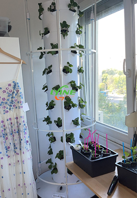 Hungarian Customer Purchased 6P10 Tower System to Grow Vegetables Indoors