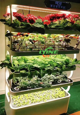 Omani Client’s Mini Indoor Hydroponic Grow Cabinet: Will Be Rolled Out In Restaurant Chain