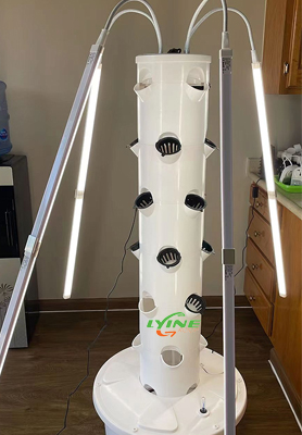Qatari Customers are Very Satisfied With Our Hydroponic Tower System