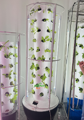 Two Sets of 6p10 Hydroponic Tower System in Canada