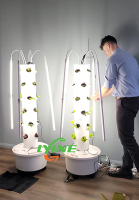 Australian Customer Put Hydroponic Tower System In Office
