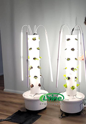 Canadian customer put 50 sets of hydroponic tower system for indoor use