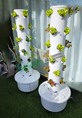 Italian hydroponics newbie tries out tower system