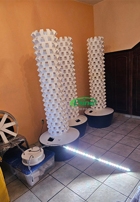 3 x 12P20 hydroponic tower systems in Mexico