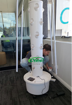 Australian customer grows vegetables at home with hydroponic tower system