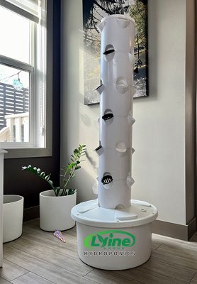 Canadian customer repurchases our hydroponic tower system