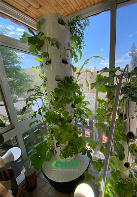 Jordanian customer uses tower system to grow vegetables at home hydroponically