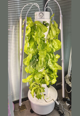 Swedish 4P6 Hydroponic Tower System – Suitable for Resale
