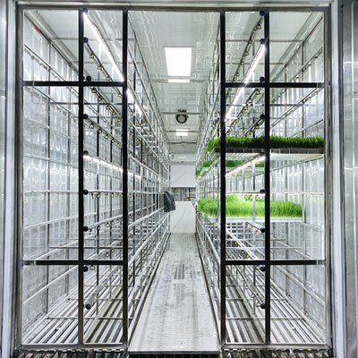 40 feet hydroponic shipping container for sale lyine group