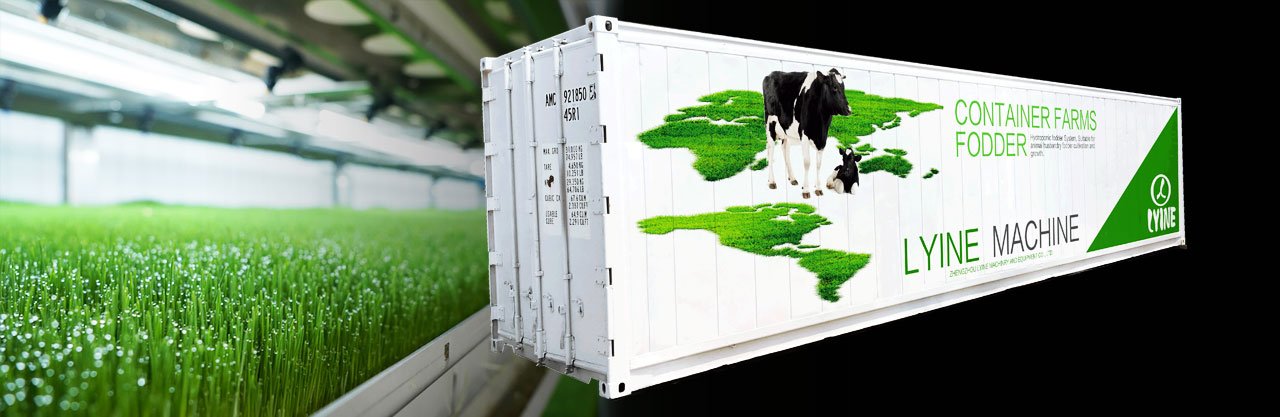 shipping container hydroponic farm for sale lyine back group
