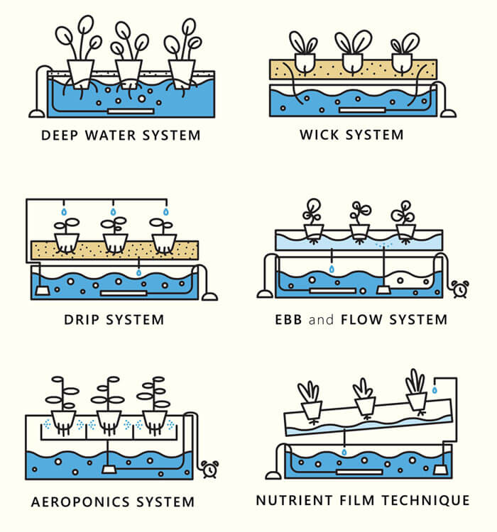 6 types of hydroponic systems lyine group