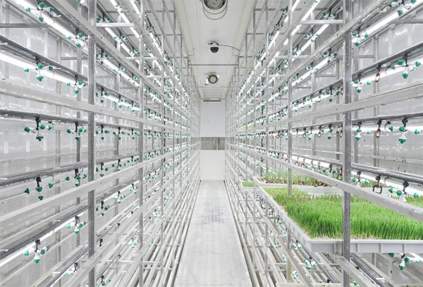 Hydroponic container farm details 6