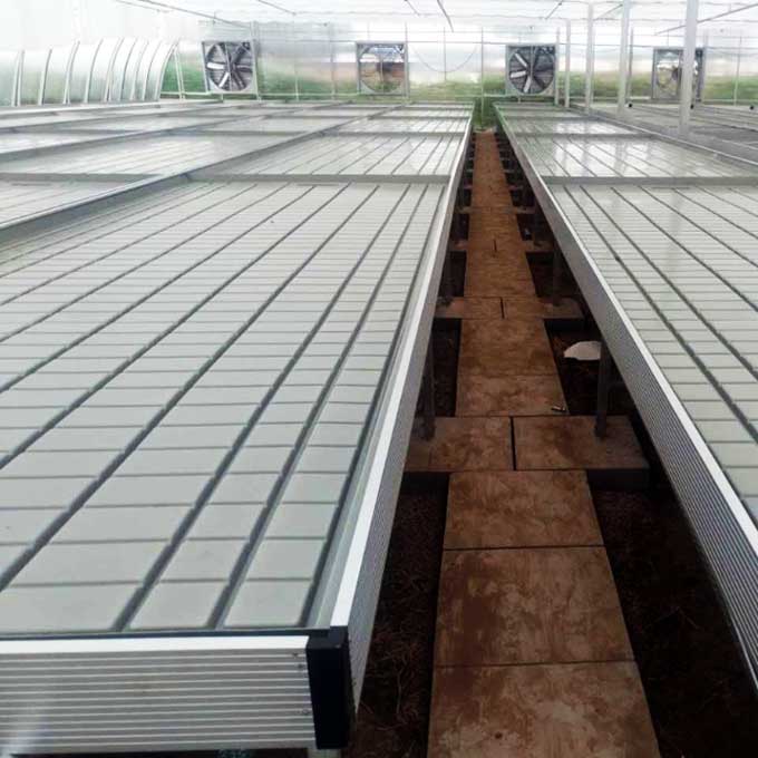 Rolling Benches Greenhouse